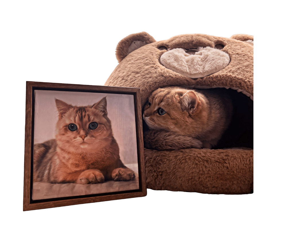 Custom pet portrait size comparison guide showing small, medium, and large canvas options displayed on a wall at Bolapawzi