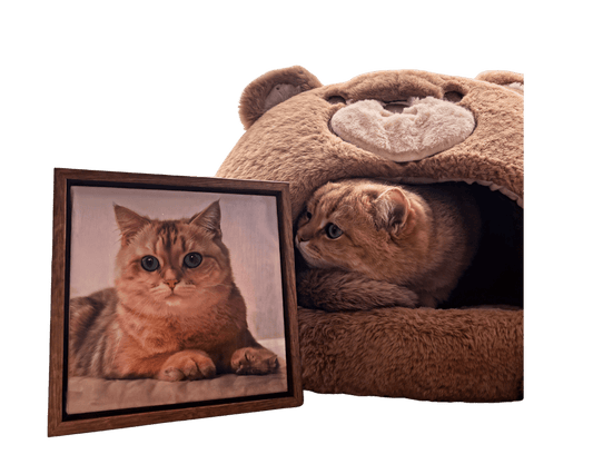 Custom pet portrait size comparison guide showing small, medium, and large canvas options displayed on a wall at Bolapawzi