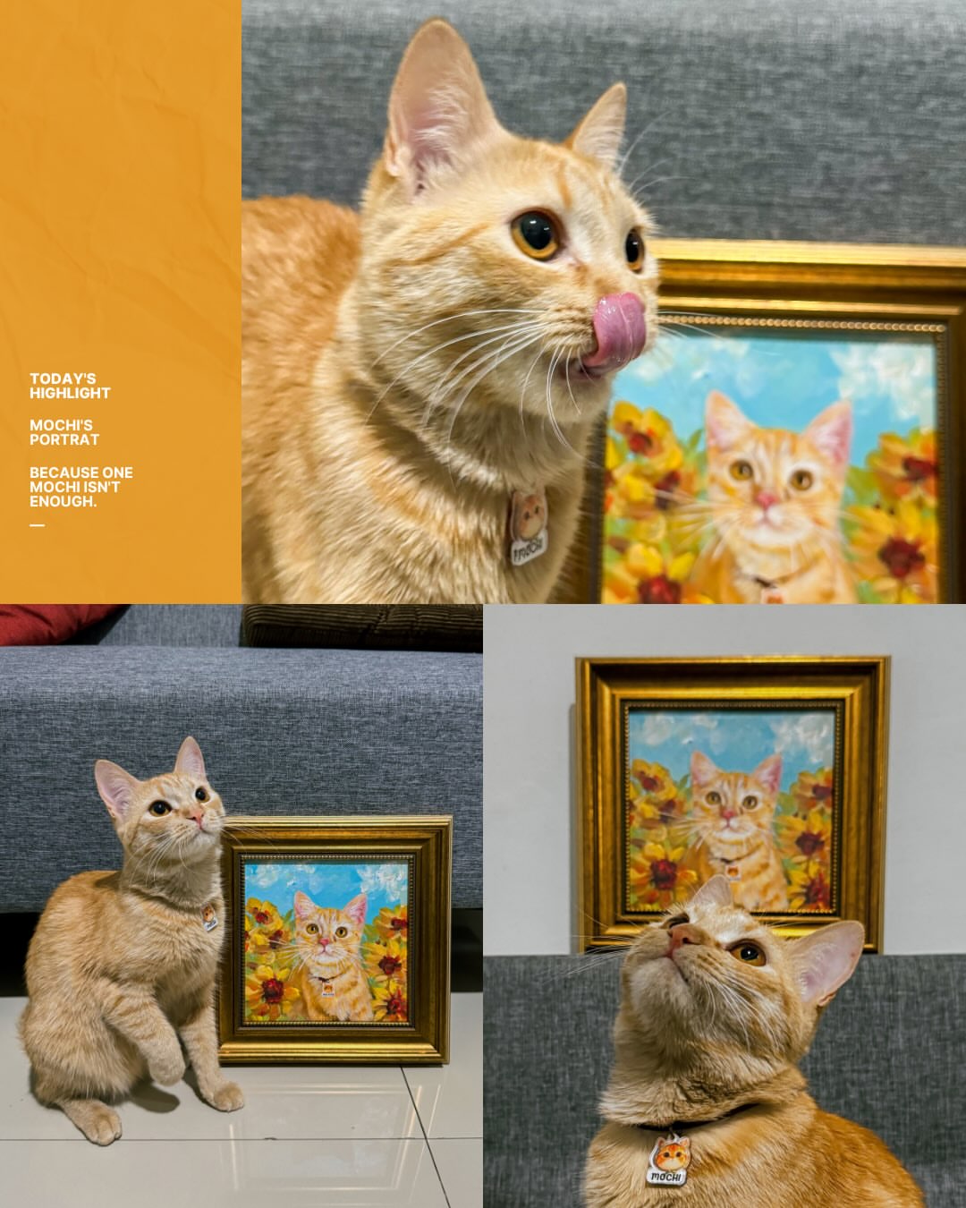 July Favorites: Our Top 5 Most Heartwarming Pet Portraits of the Month