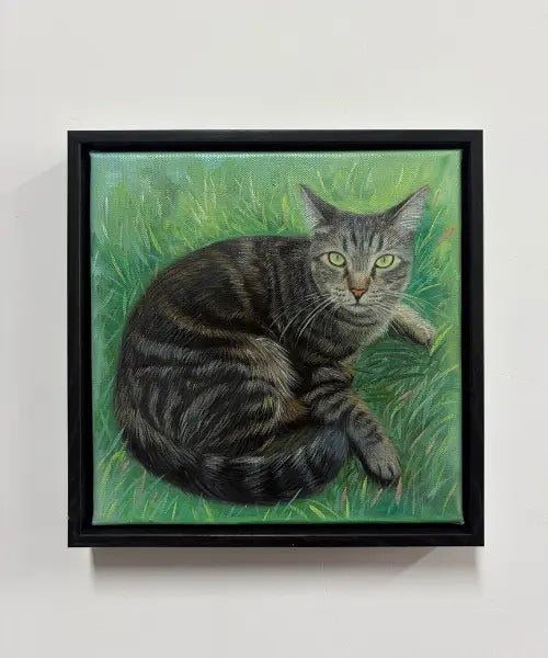 The Best Cat Breeds for First-Time Portrait Buyers