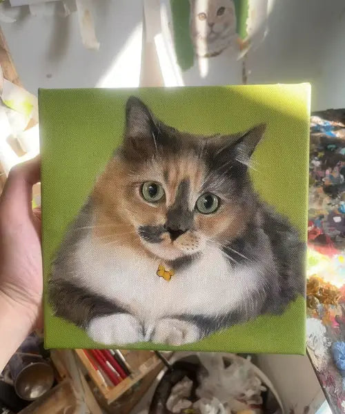 How to Photograph Your Cat Without Treats or Toys (Yes, Really)