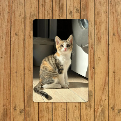 Custom dog&cat pet tin sign