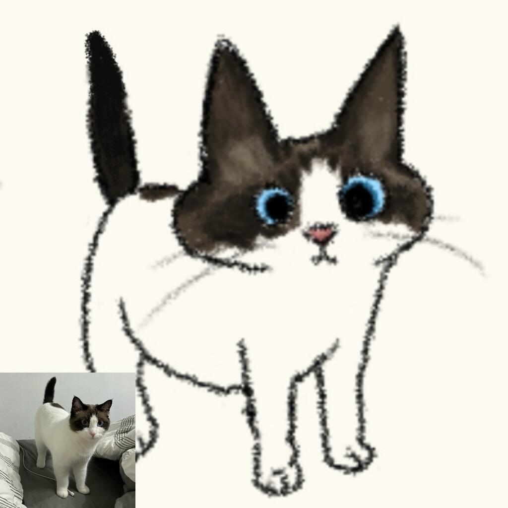 Avatar farfelu