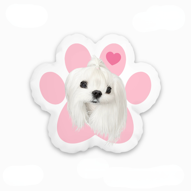 Custom dog&cat portrait pillows
