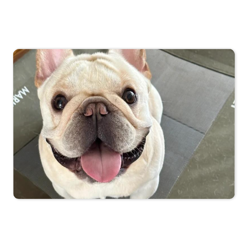 Custom dog&cat bath mat