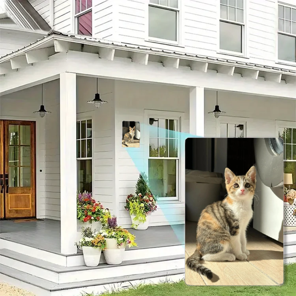 Custom dog&cat pet tin sign