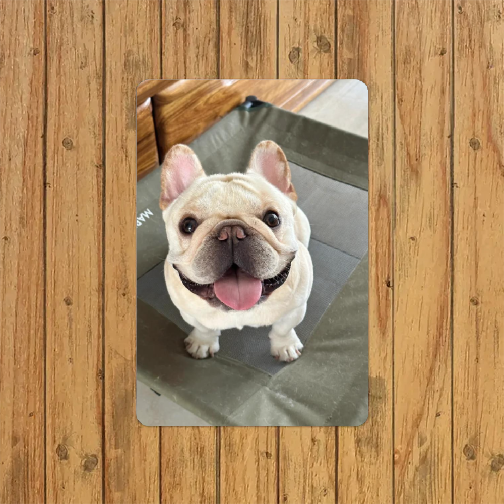 Custom dog&cat pet tin sign