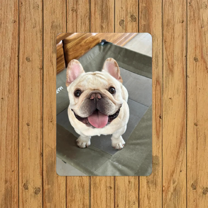Custom dog&cat pet tin sign