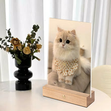 Custom LED Acrylic Pet Night Light – Personalized Glowing Desktop Keepsake