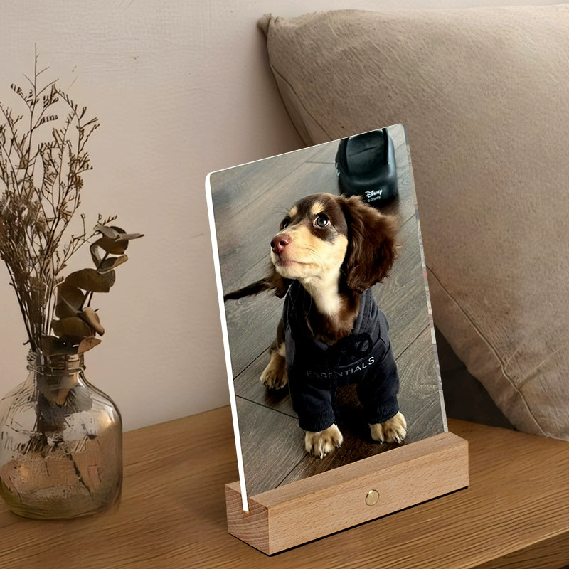 Custom LED Acrylic Pet Night Light – Personalized Glowing Desktop Keepsake