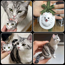 Pet Car Aroma Stone
