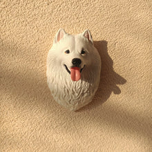 Pet Car Aroma Stone