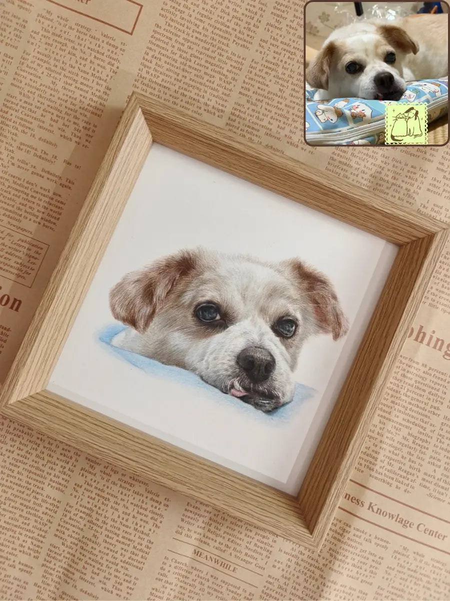 Custom Colored Pencil Pet Portrait | Hand-Drawn Personalized Pet Art