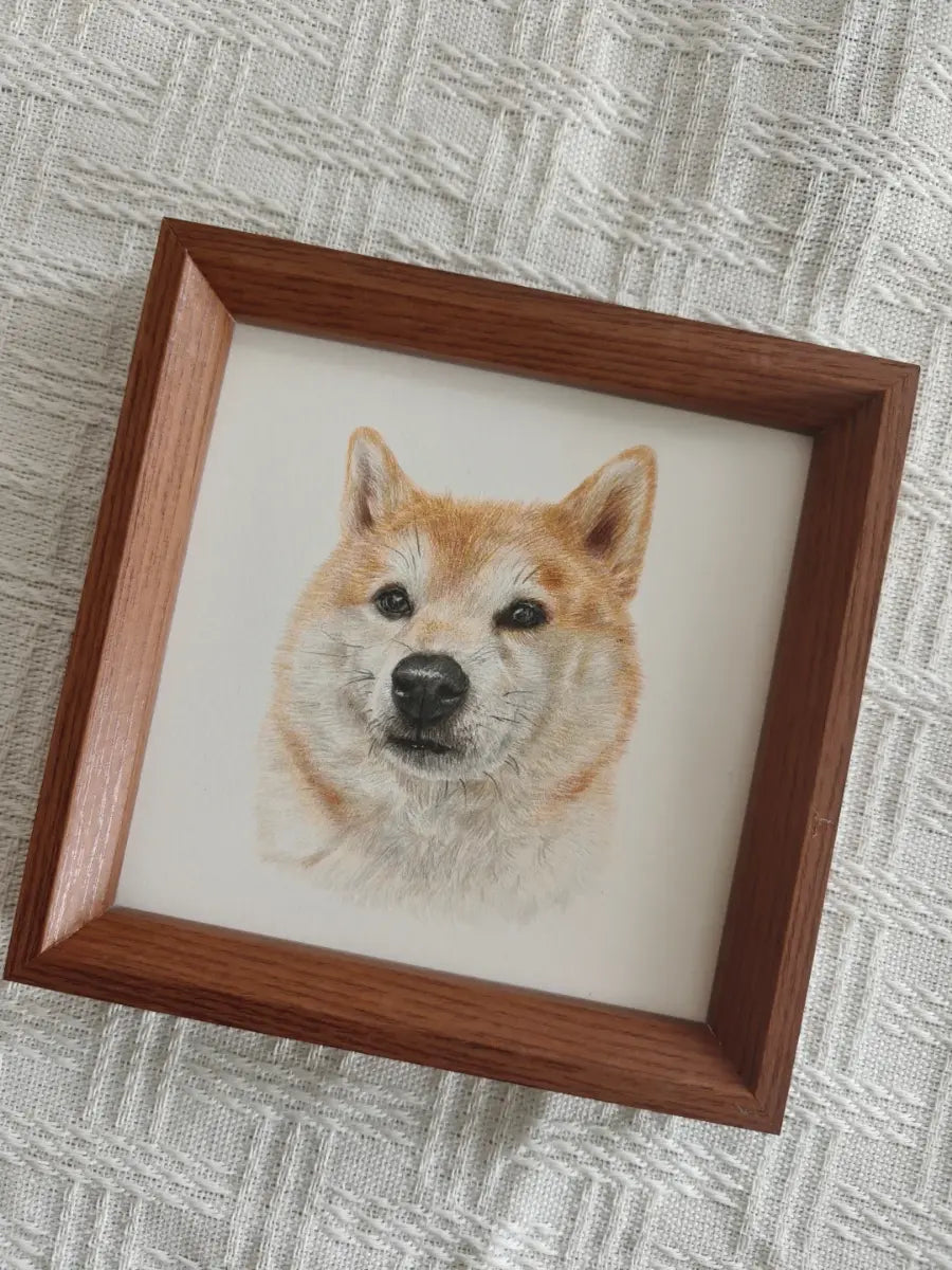 Custom colored pencil dog portrait sample - hand-drawn pet art on paper by Bolapawzi