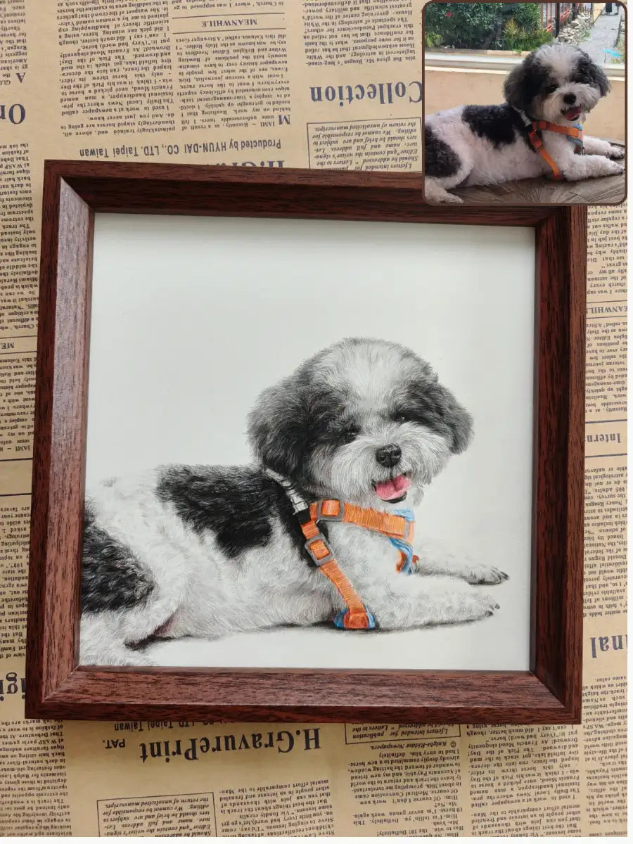 Custom Colored Pencil Pet Portrait | Hand-Drawn Personalized Pet Art