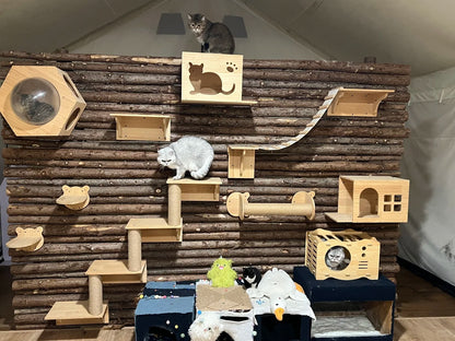 Animal Rescue Donation