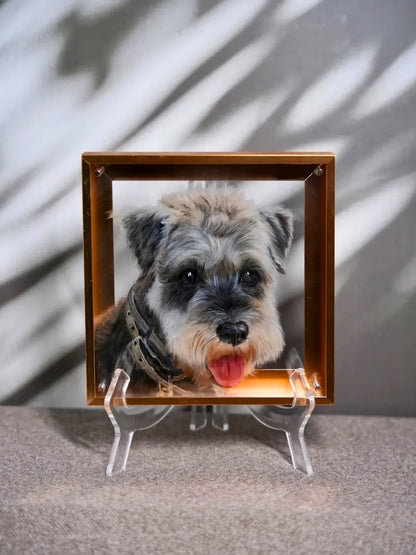 3D multi-layer dog portrait from photo - acrylic depth hand-painted pet art display