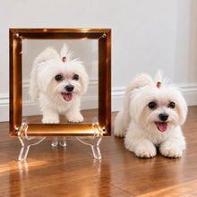 Dimension Series: Multi-Layered 3D Acrylic Pet Portrait - Premium Modern Gift Edition